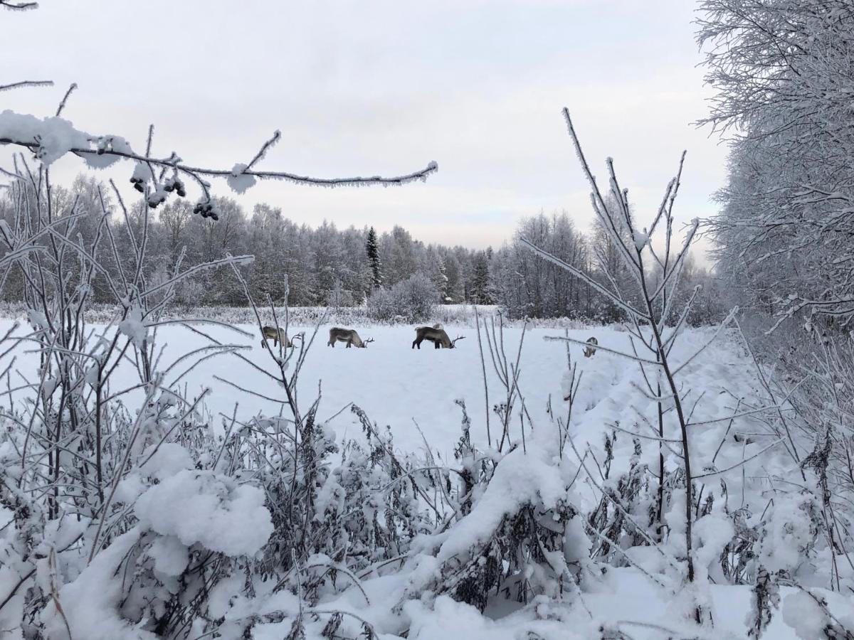 Villa Sandra Rovaniemi Buitenkant foto